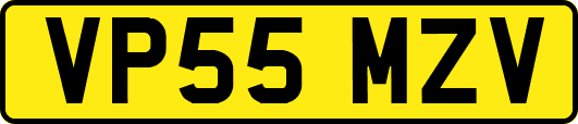 VP55MZV