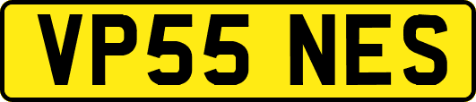 VP55NES