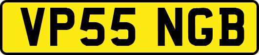 VP55NGB
