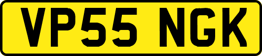 VP55NGK