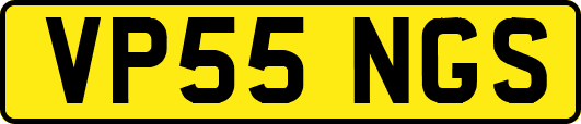 VP55NGS