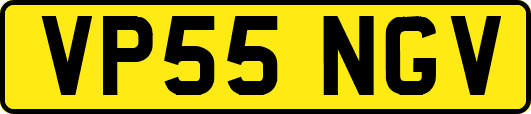 VP55NGV