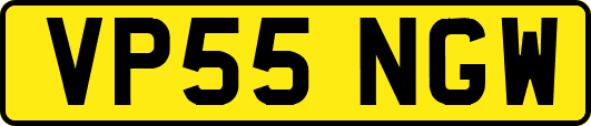 VP55NGW