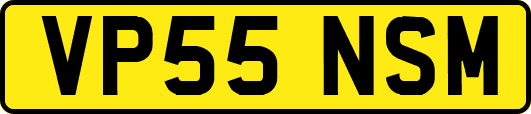 VP55NSM