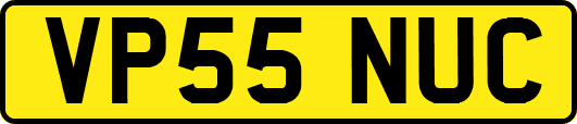 VP55NUC