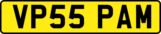 VP55PAM