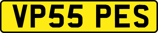 VP55PES