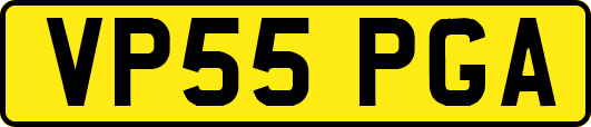 VP55PGA