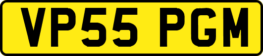 VP55PGM