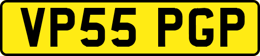 VP55PGP
