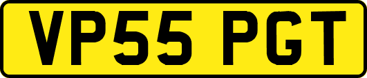 VP55PGT