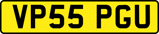 VP55PGU