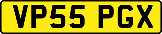 VP55PGX