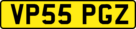 VP55PGZ