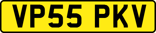 VP55PKV