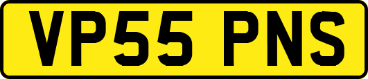 VP55PNS