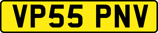 VP55PNV