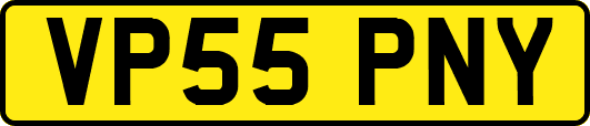 VP55PNY