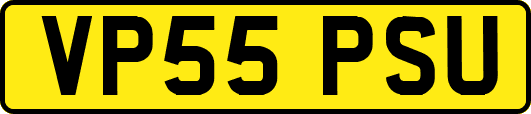 VP55PSU