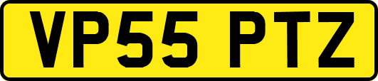 VP55PTZ