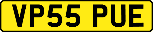 VP55PUE