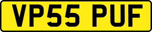 VP55PUF