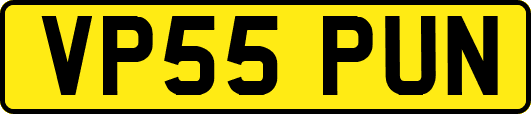 VP55PUN