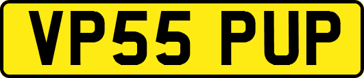 VP55PUP