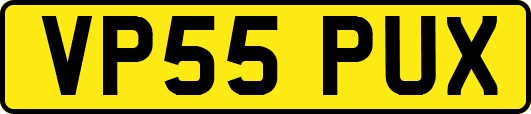 VP55PUX