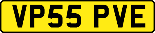 VP55PVE