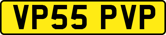VP55PVP