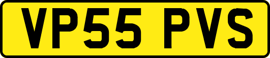 VP55PVS