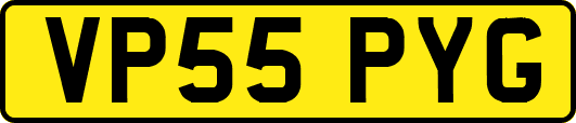 VP55PYG