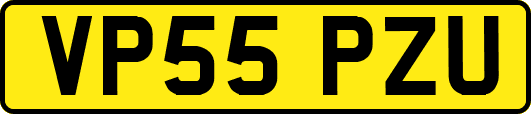 VP55PZU