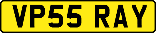VP55RAY
