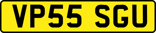 VP55SGU