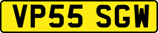 VP55SGW
