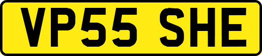 VP55SHE