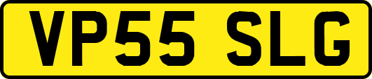 VP55SLG