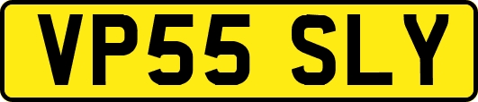 VP55SLY