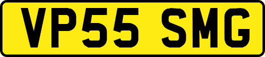 VP55SMG