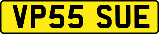 VP55SUE