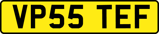 VP55TEF
