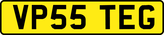 VP55TEG