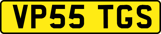VP55TGS