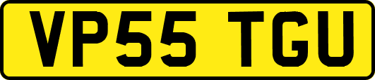 VP55TGU