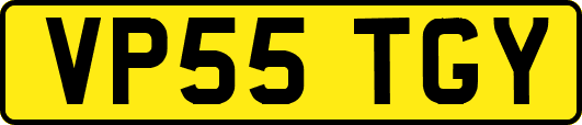 VP55TGY