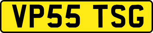 VP55TSG