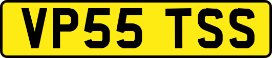 VP55TSS