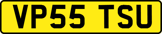 VP55TSU